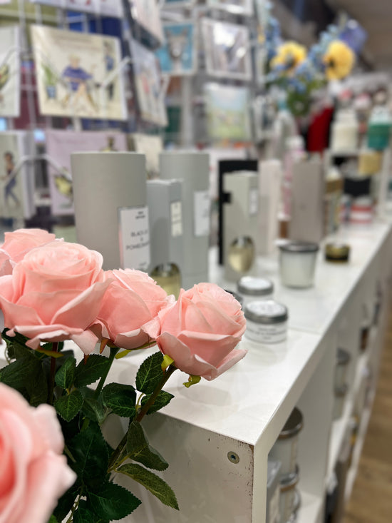 10 TINA TIMOTHY PROFILES visual data 8